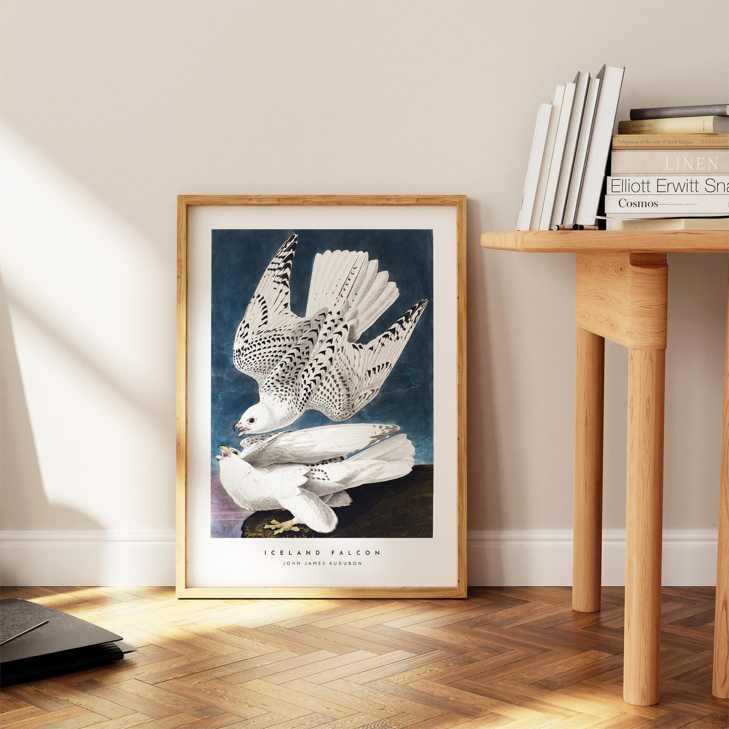 Iceland Falcon Print