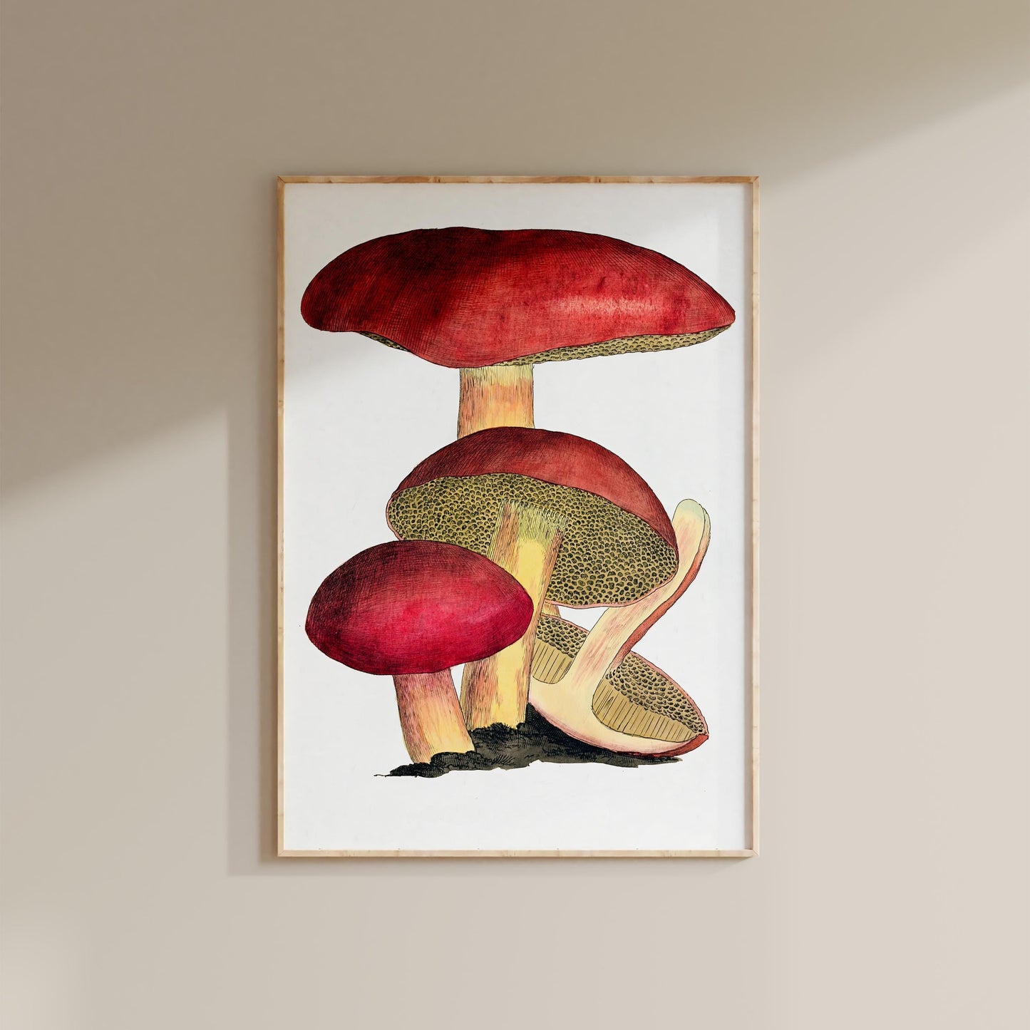 Vintage Fungi Print