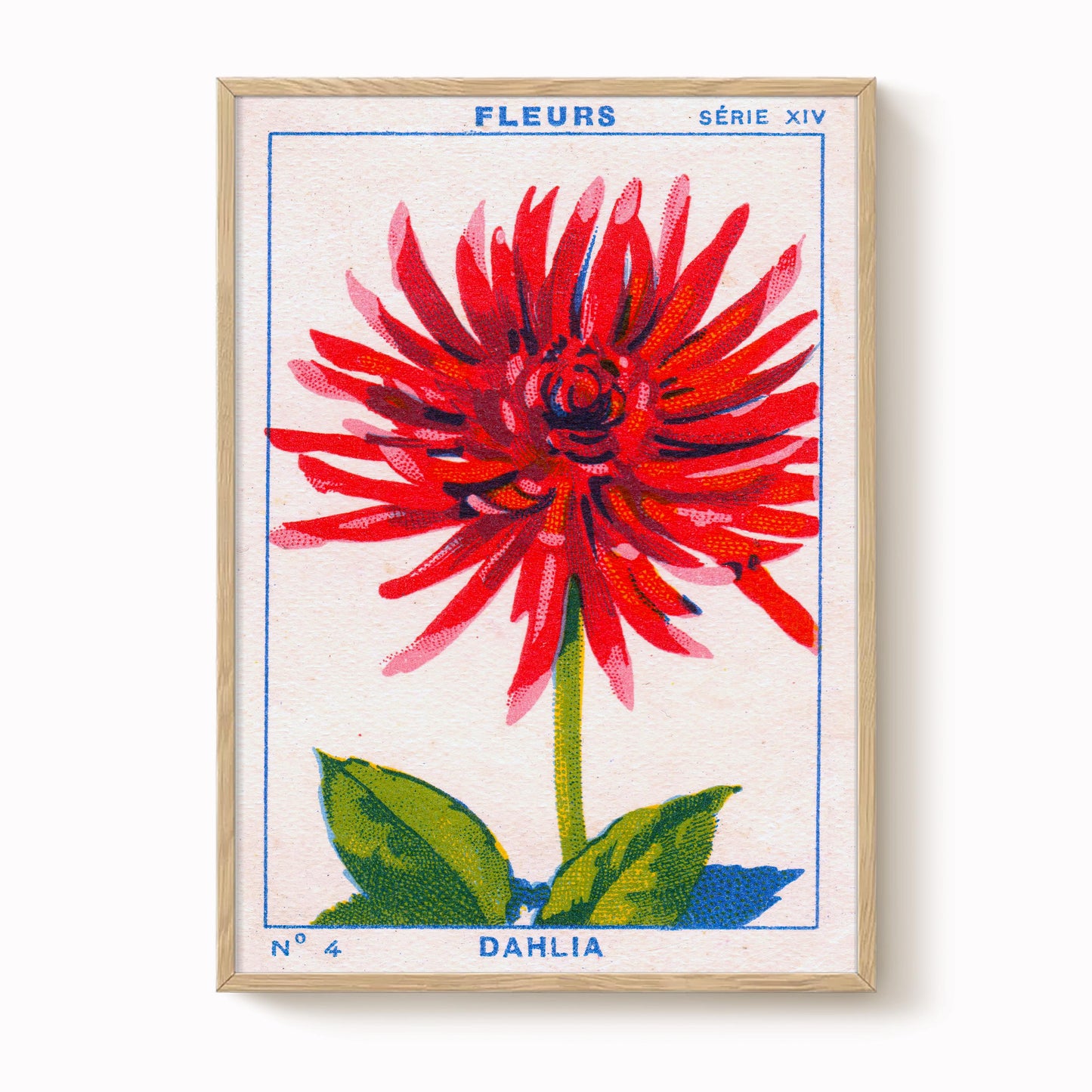 Vintage Dahlia Print