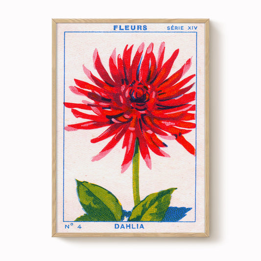 Vintage Dahlia Print