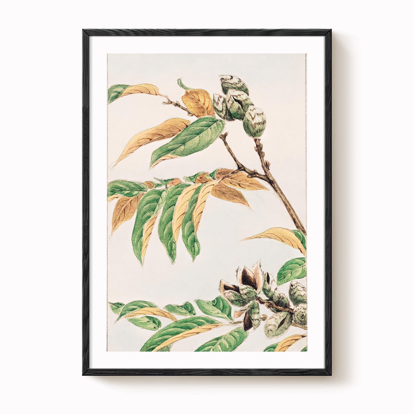 Megata Morikaga - Shi Art Print