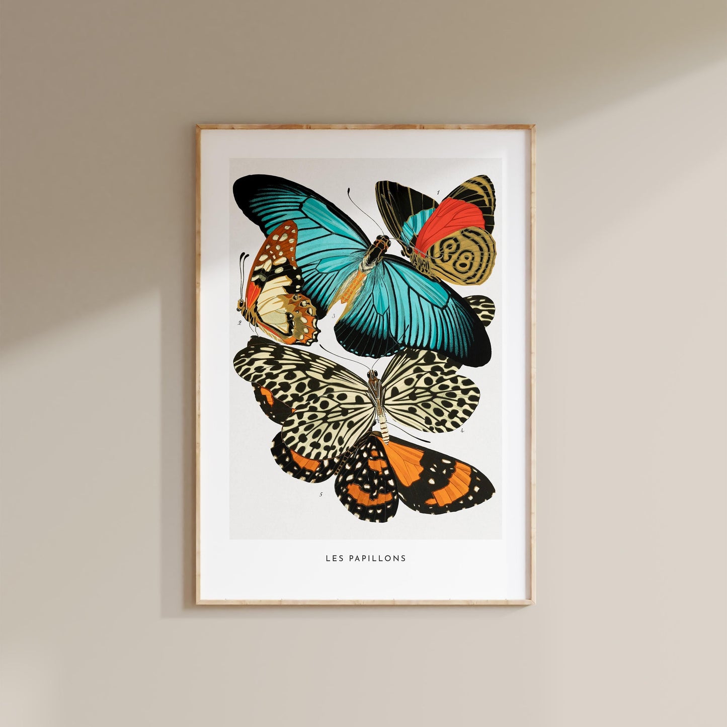 E.A. Séguy - Papillons Pl.11 Butterflies Print