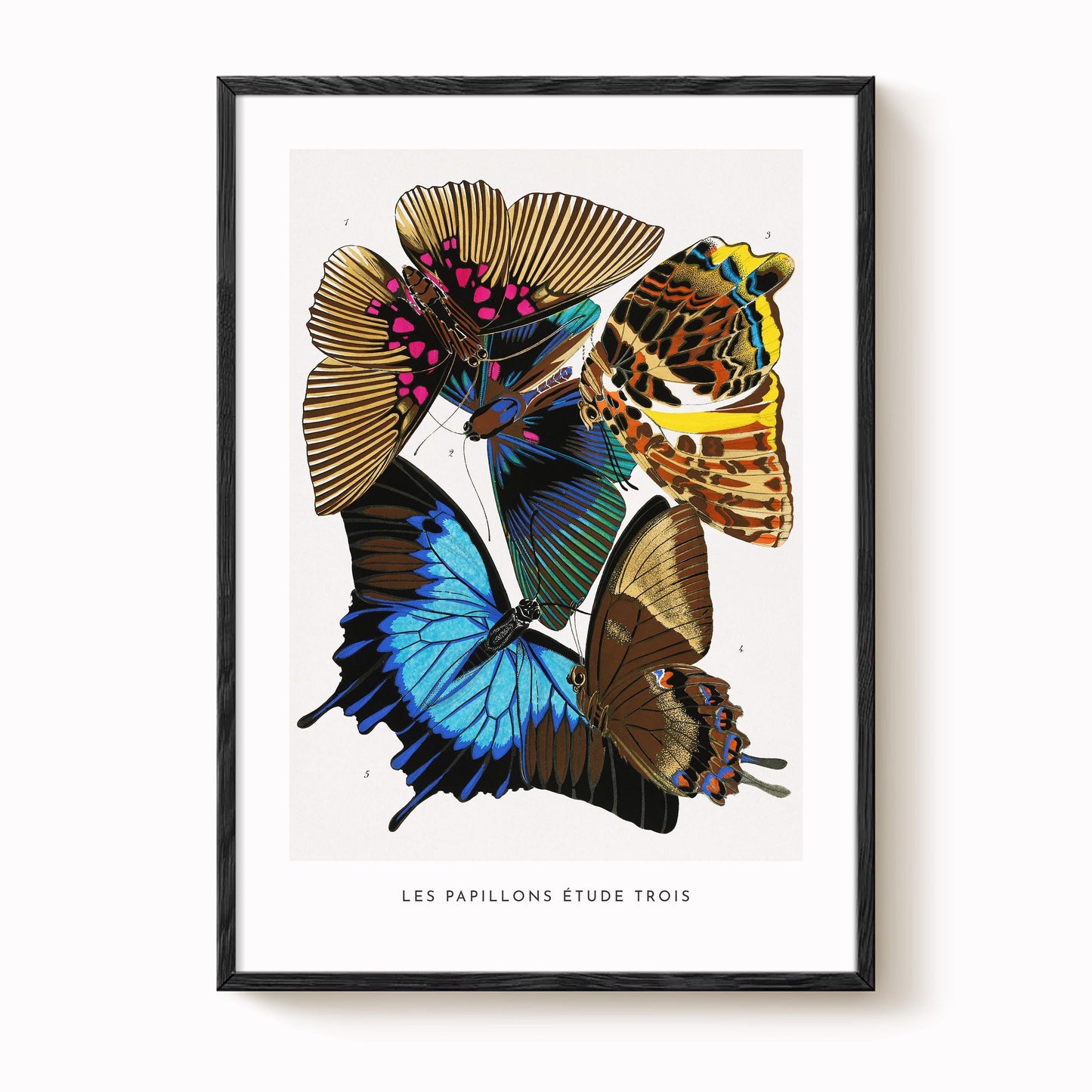 A. Séguy - Vintage Butterfly Print
