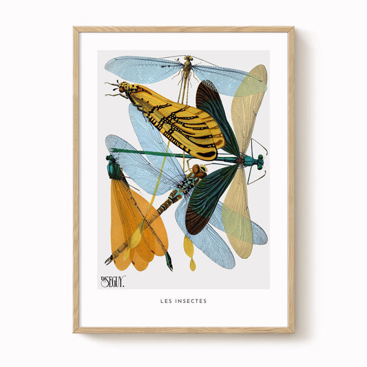 E.A. Séguy - Insectes Pl.20 Insect Study Print