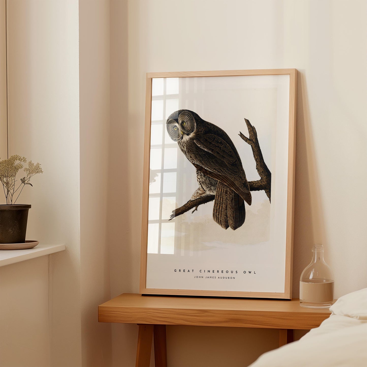 Great Cinereous Owl Print