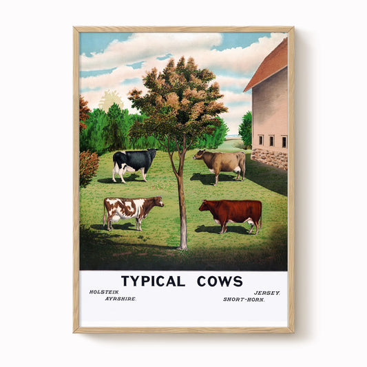 Vintage Cow Art Print