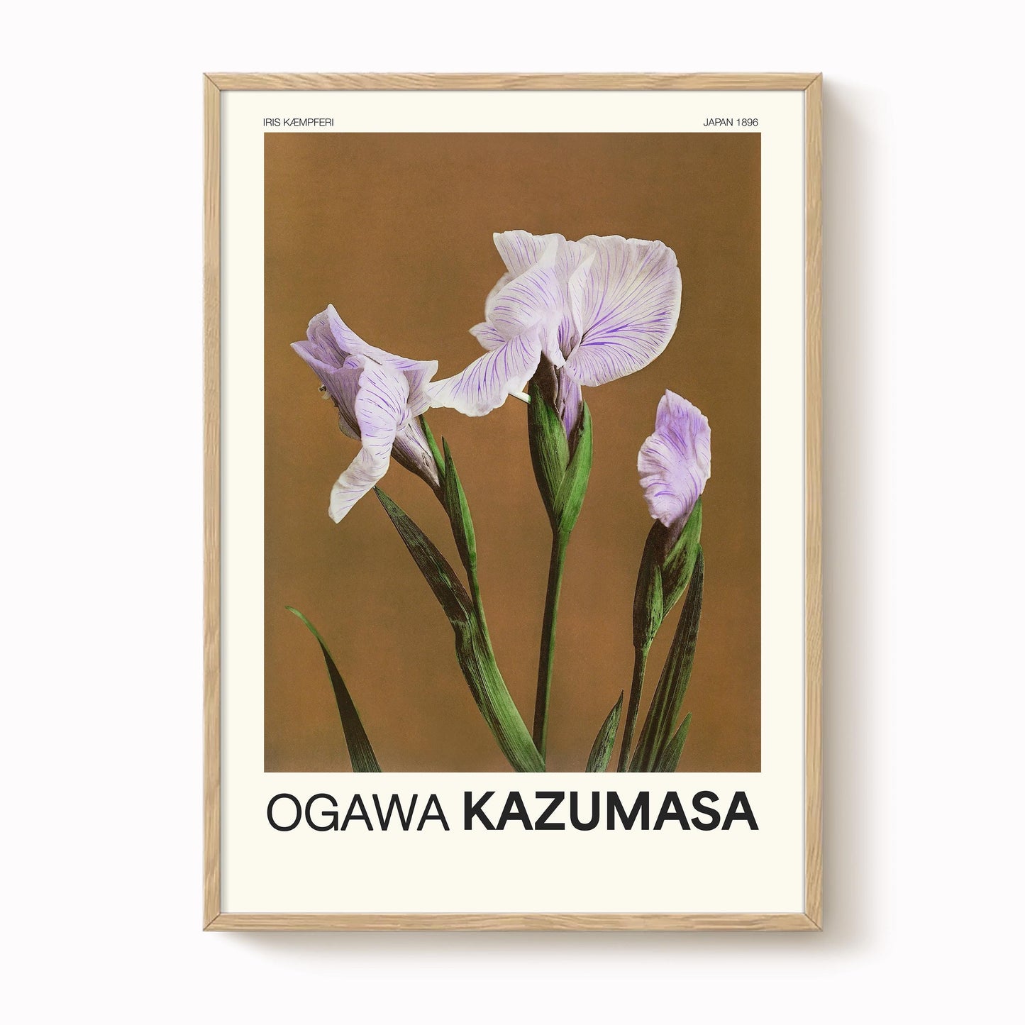 Ogawa Kazumasa - Vintage Japanese Iris Print