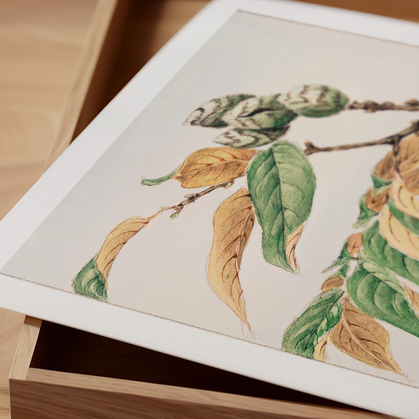 Megata Morikaga - Shi Art Print