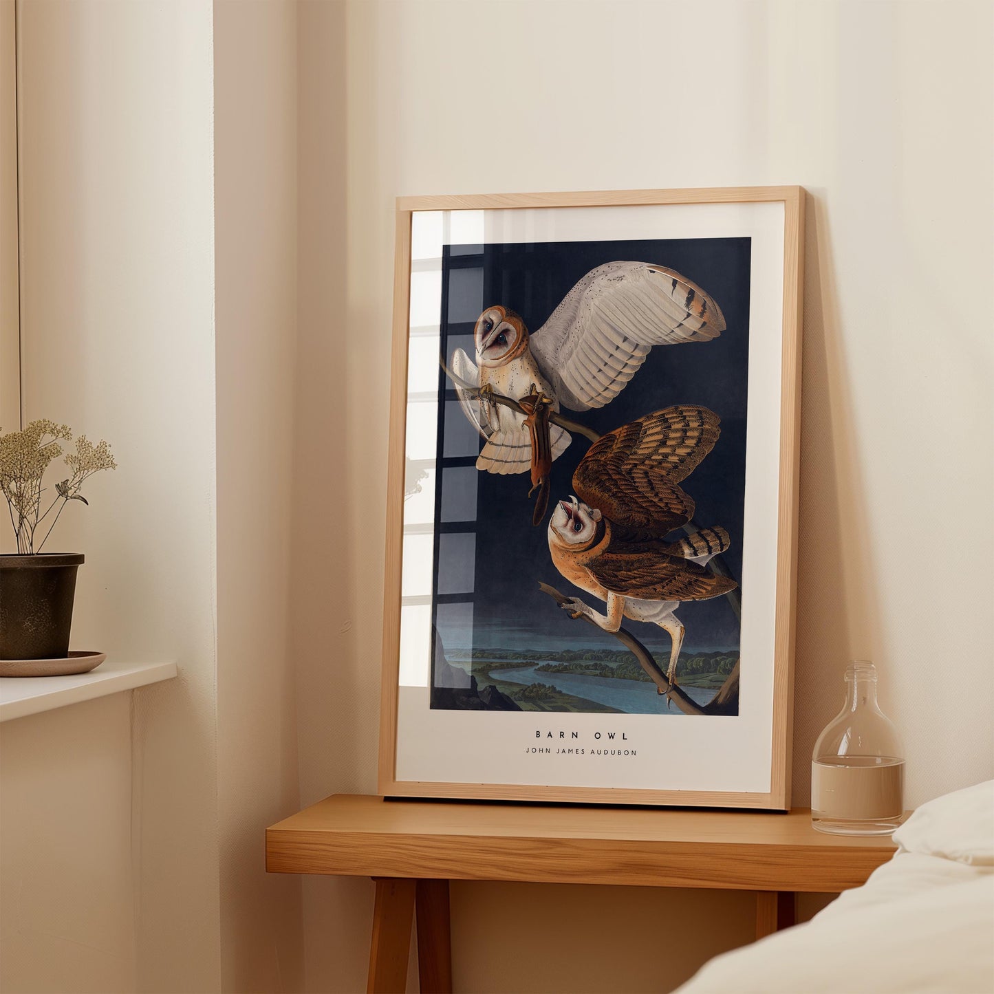 Barn Owl Print