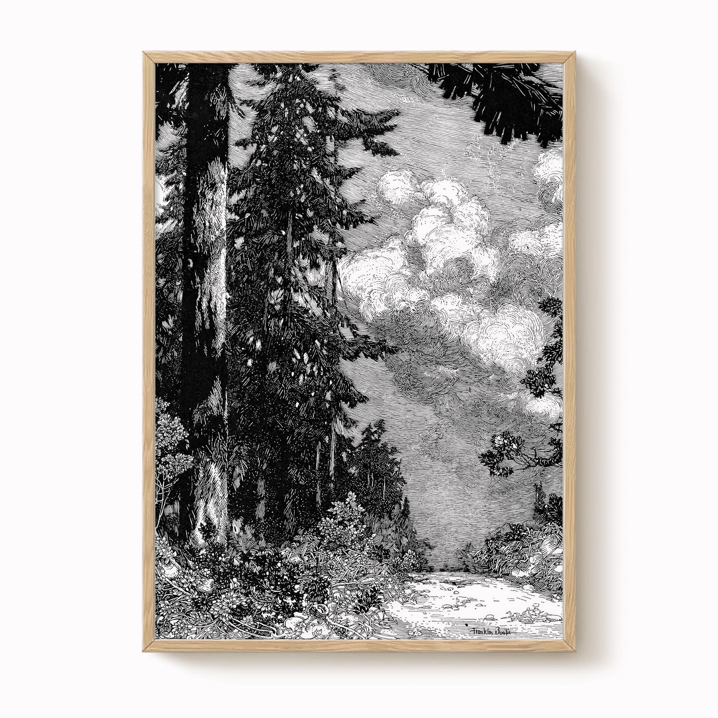 Franklin Booth - The Pine Print