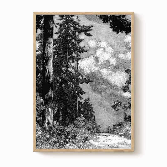 Franklin Booth - The Pine Print