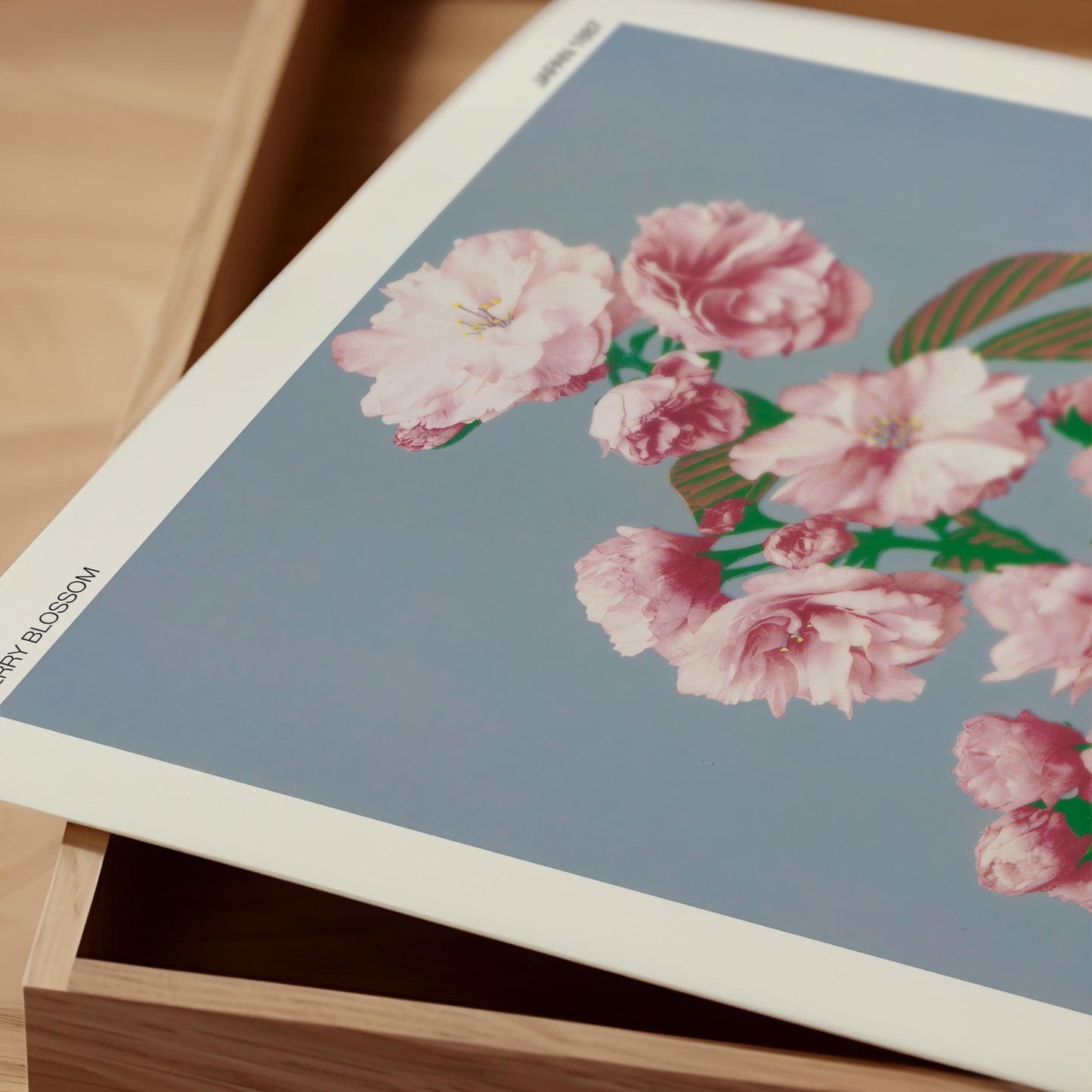 Ogawa Kazumasa - Cherry Blossom Print