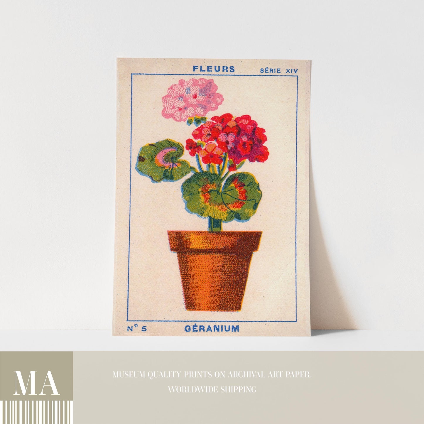 Vintage Geranium Print