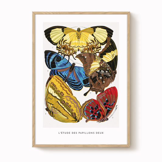 E.A. Séguy - Papillons Pl.04 Butterflies Print