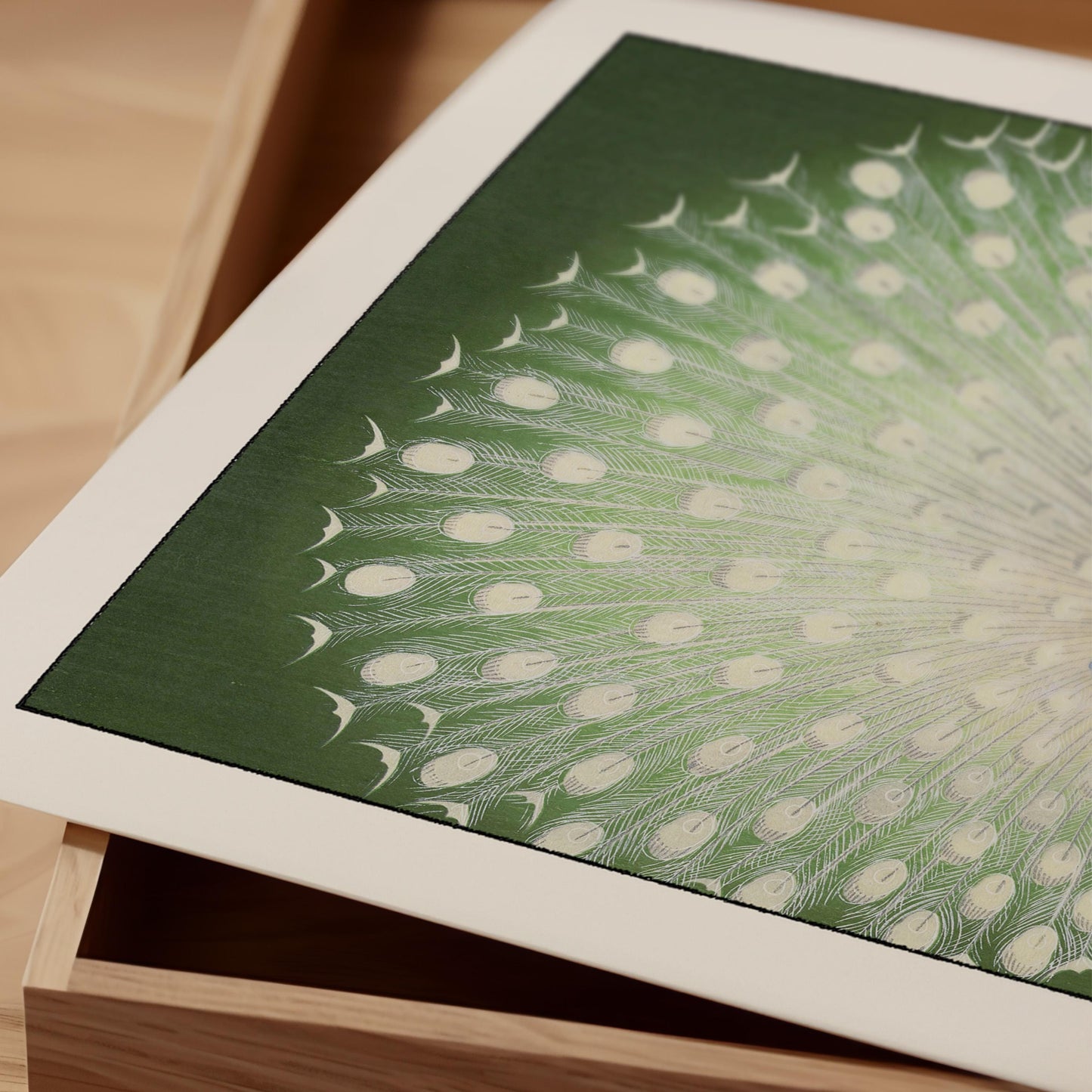 Ohara Koson - The Peacock Print