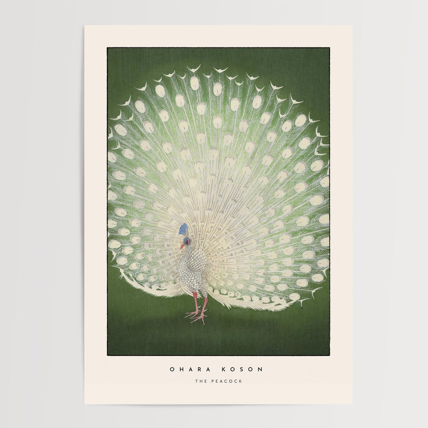 Ohara Koson - The Peacock Print