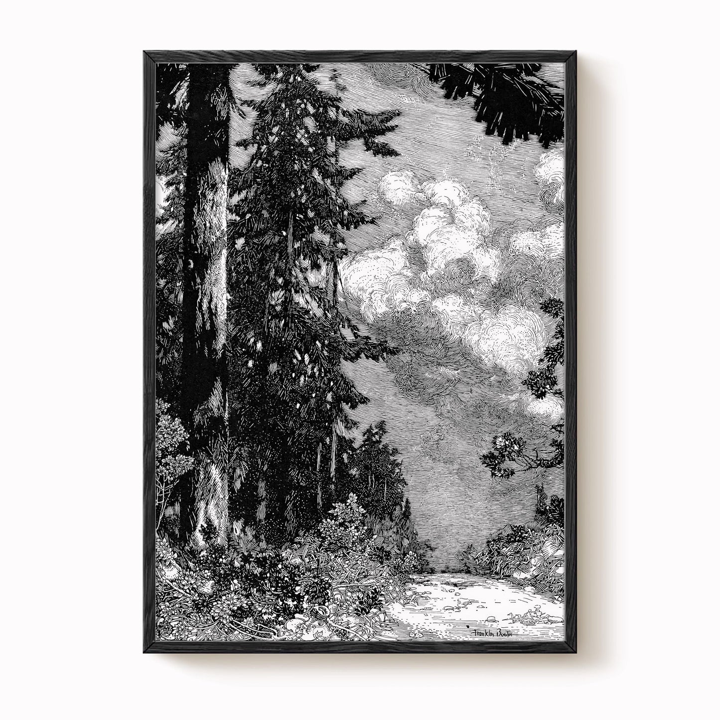 Franklin Booth - The Pine Print