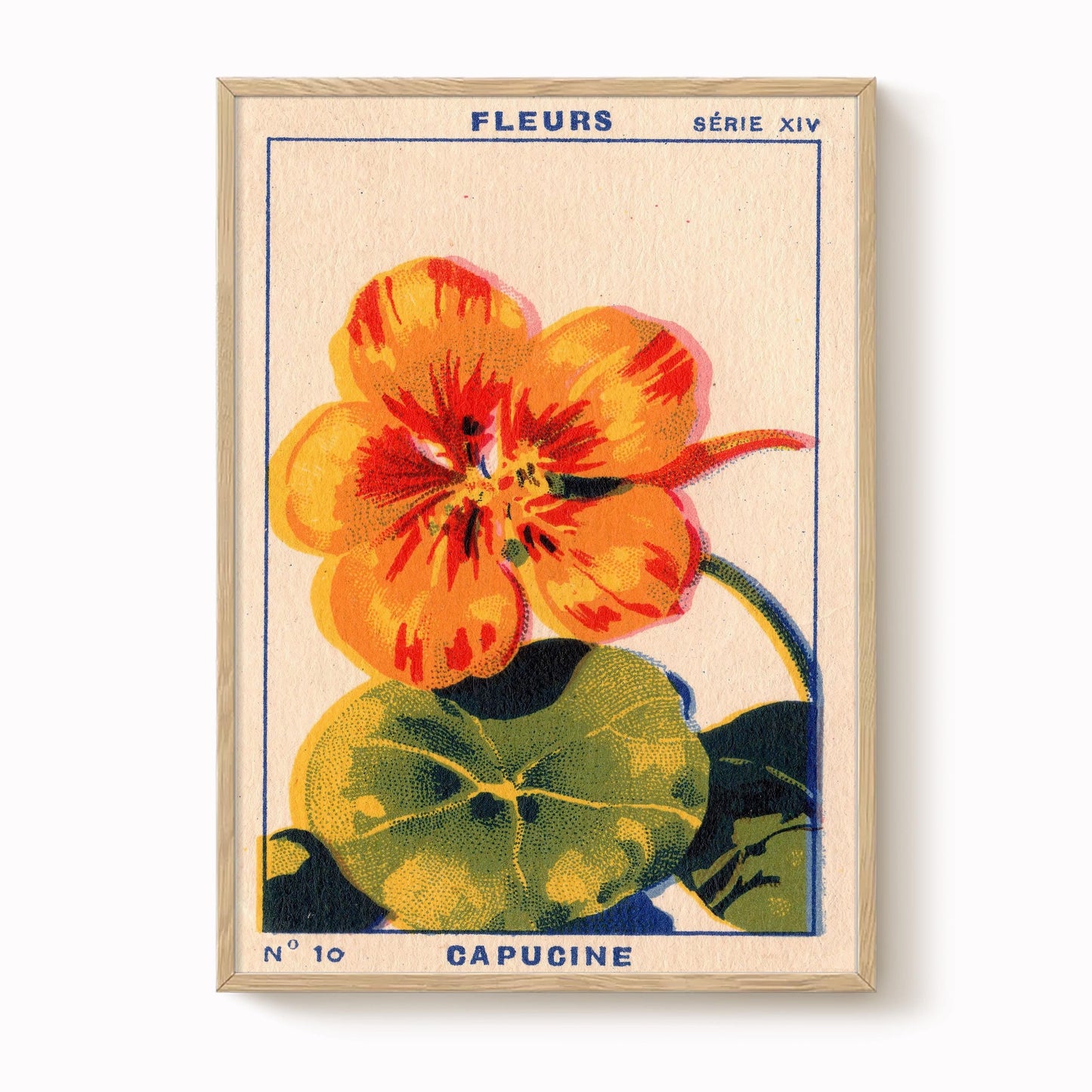 Vintage Nasturtium Print