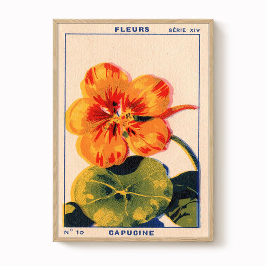 Vintage Nasturtium Print