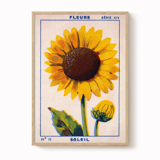 Vintage Sunflower Print