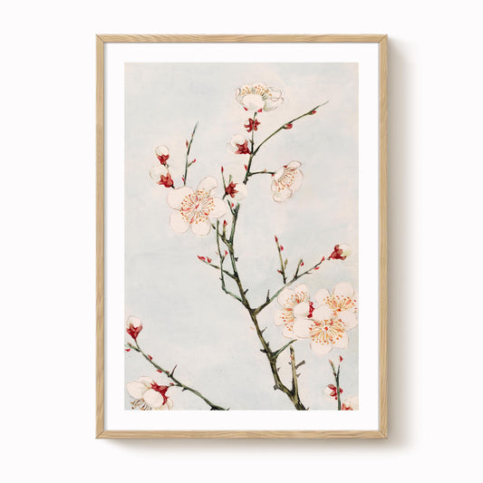 Megata Morikaga - Plum Blossom Print
