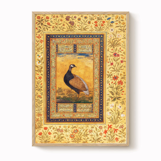 Mughal Black Francolin Print