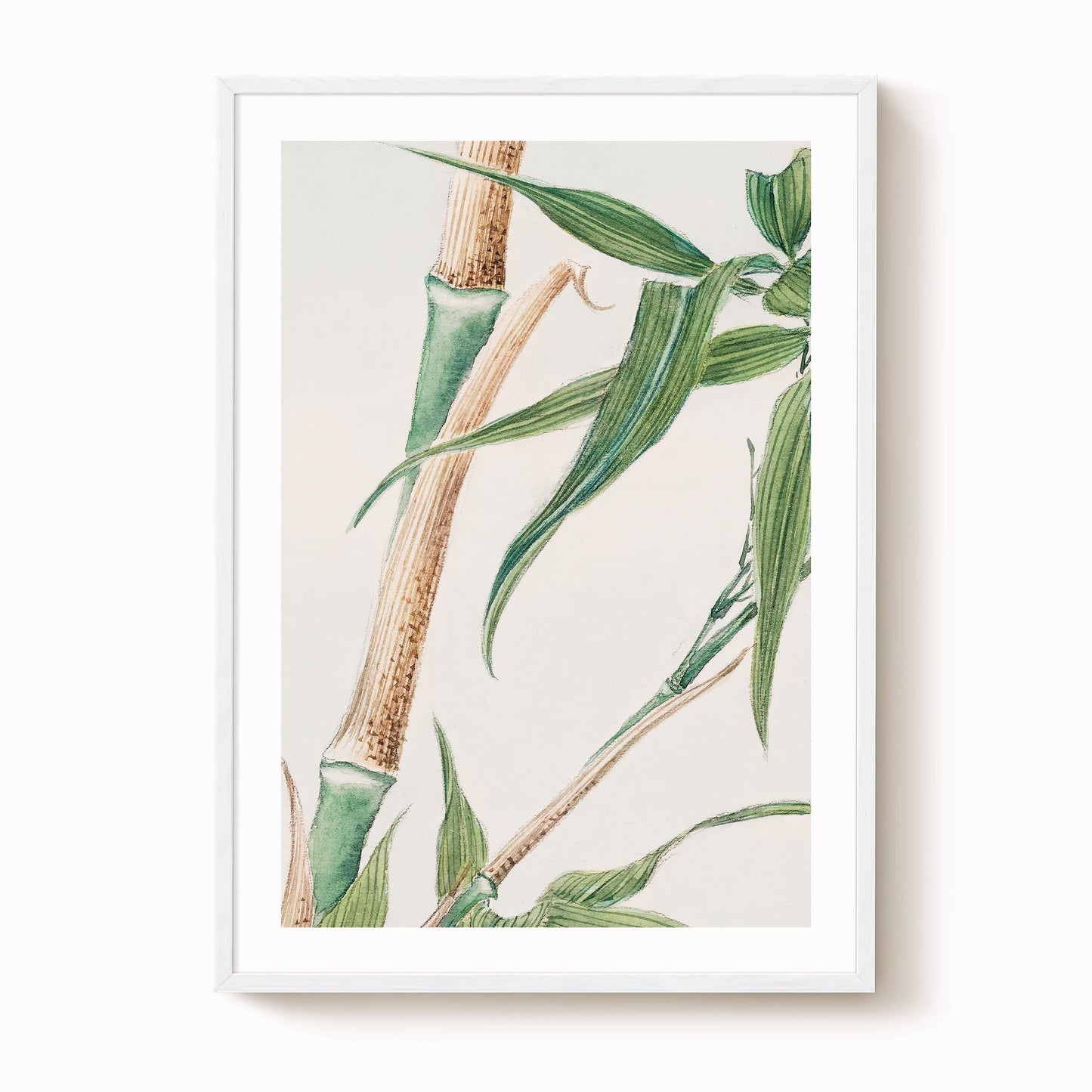 Megata Morikaga - Japanese Bamboo Print