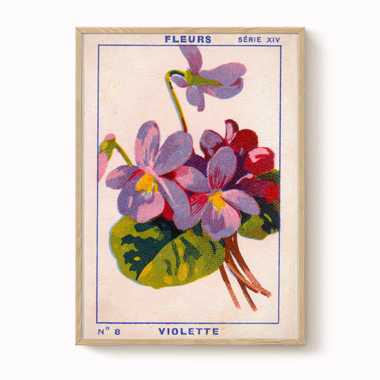 Vintage Violet Print