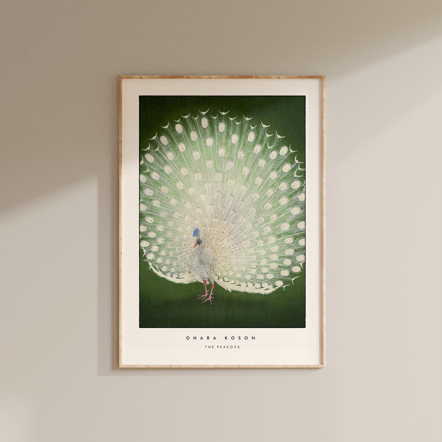 Ohara Koson - The Peacock Print
