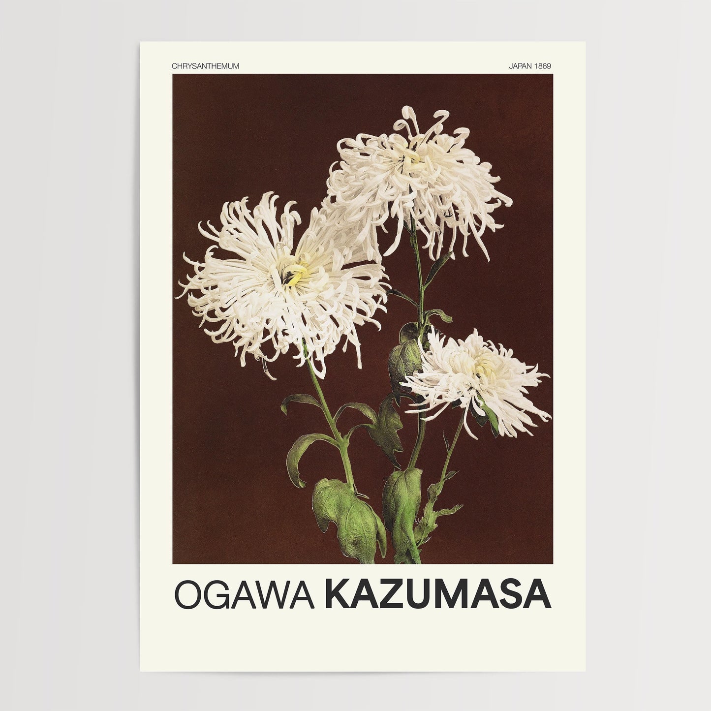 Ogawa Kazumasa - Chrysanthemum Print