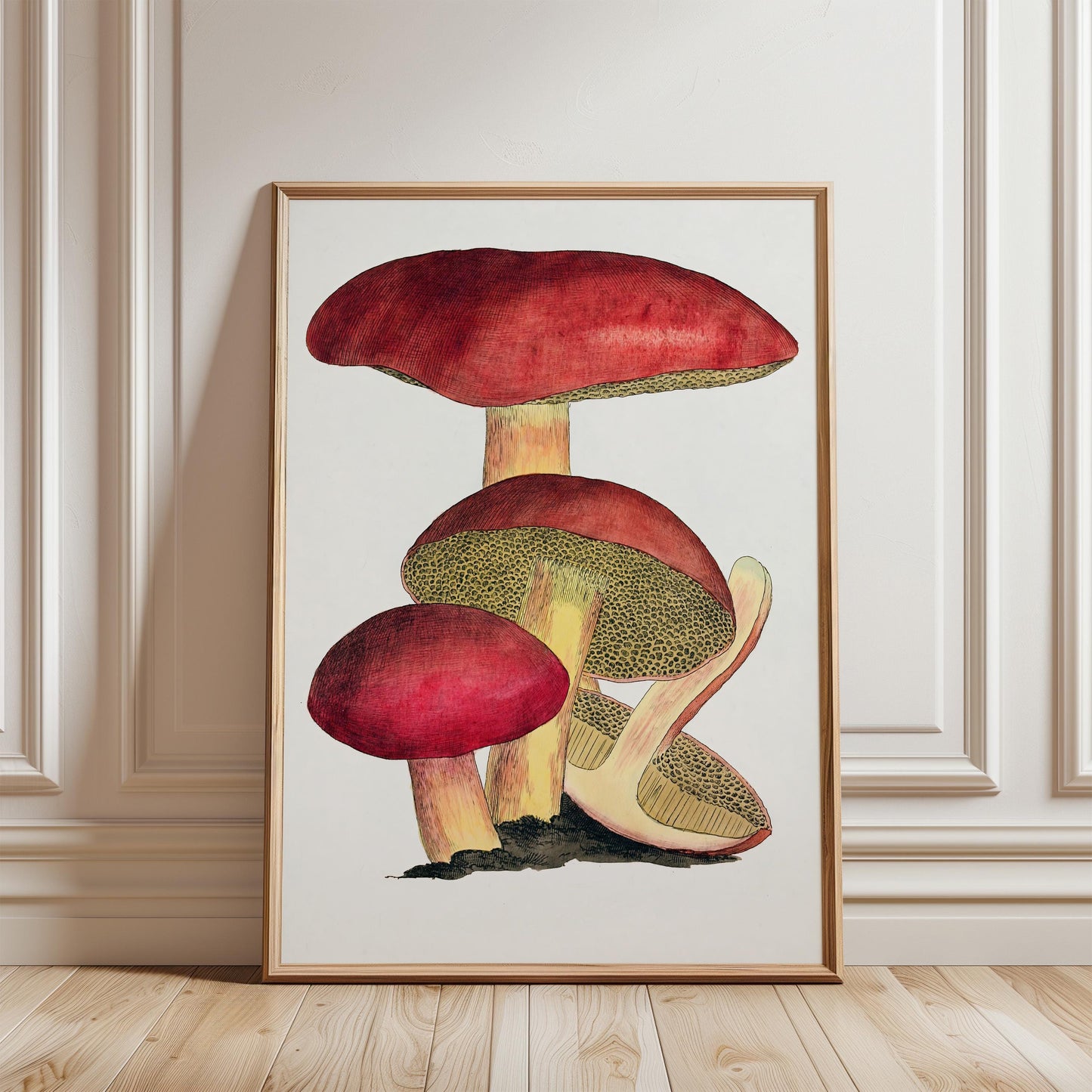 Vintage Fungi Print