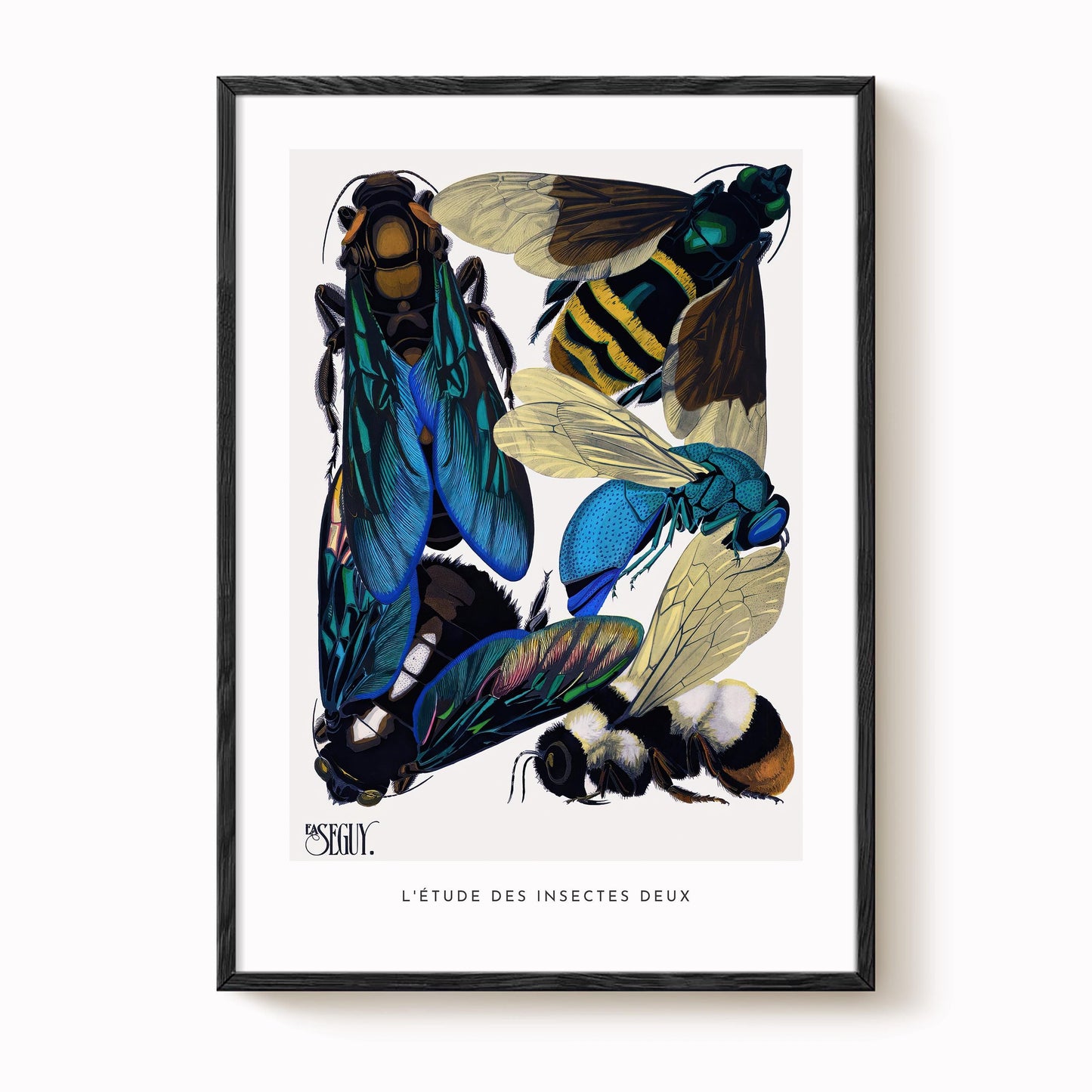 E.A. Séguy - Insectes Pl.16 Insect Study Print