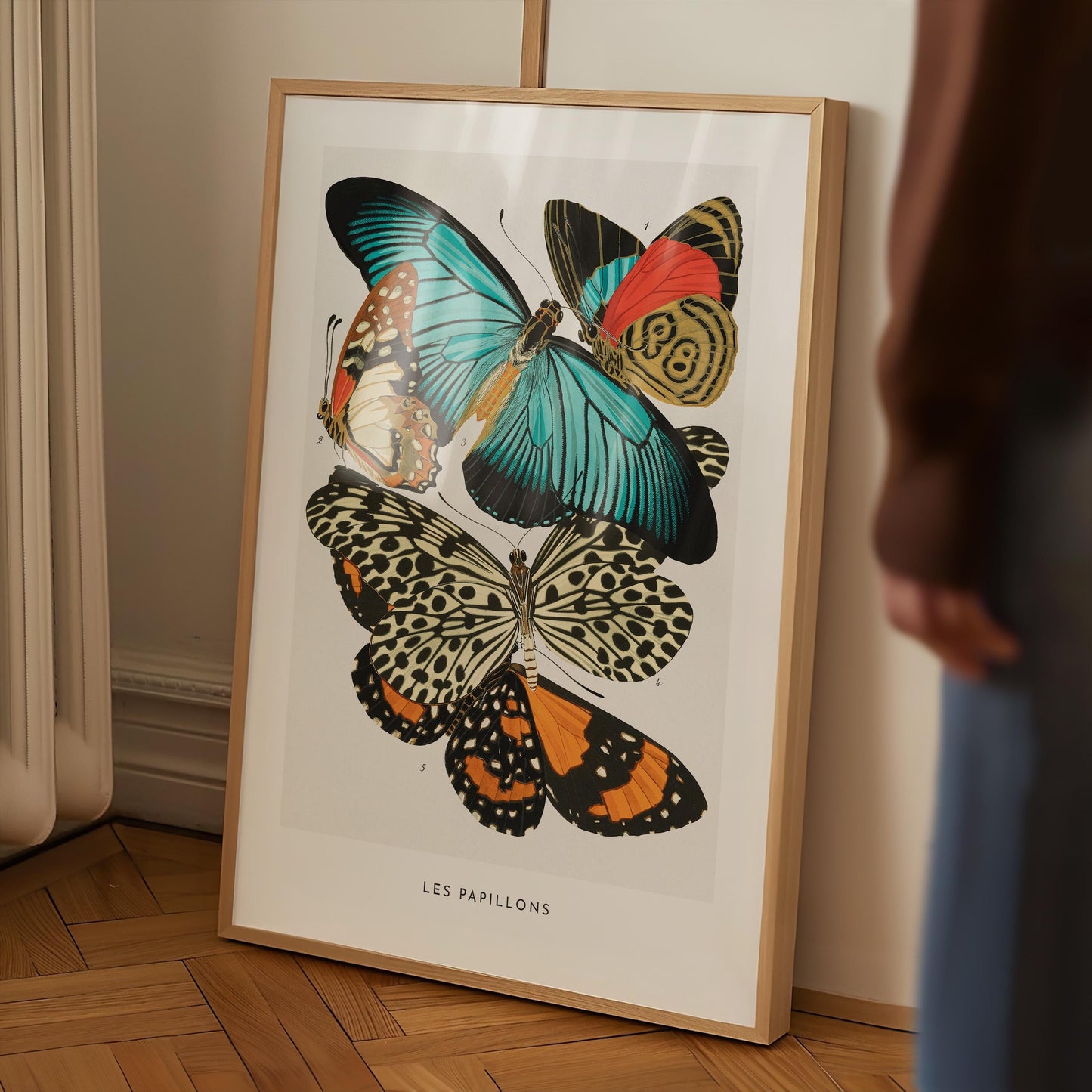 E.A. Séguy - Papillons Pl.11 Butterflies Print