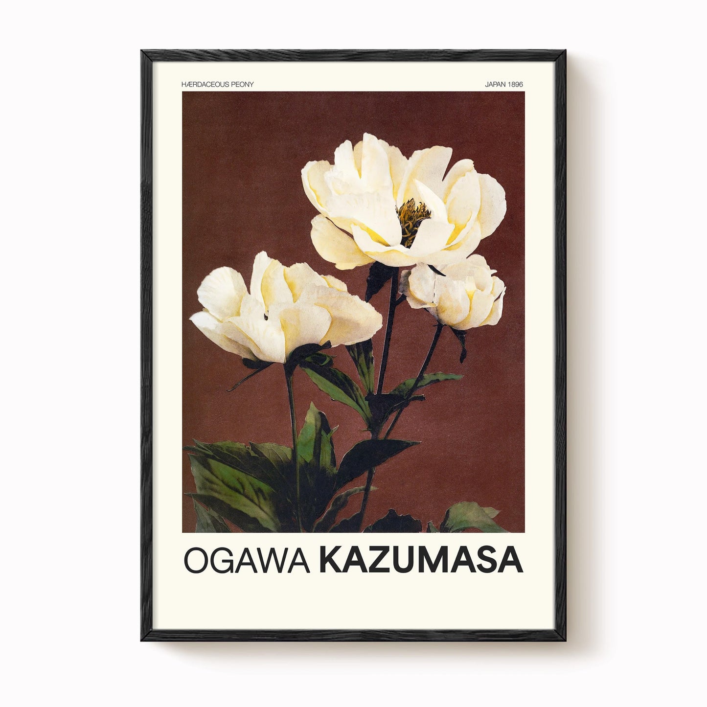 Ogawa Kazumasa - Herbaceous Peony Print