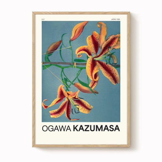 Ogawa Kazumasa -  Lily Print