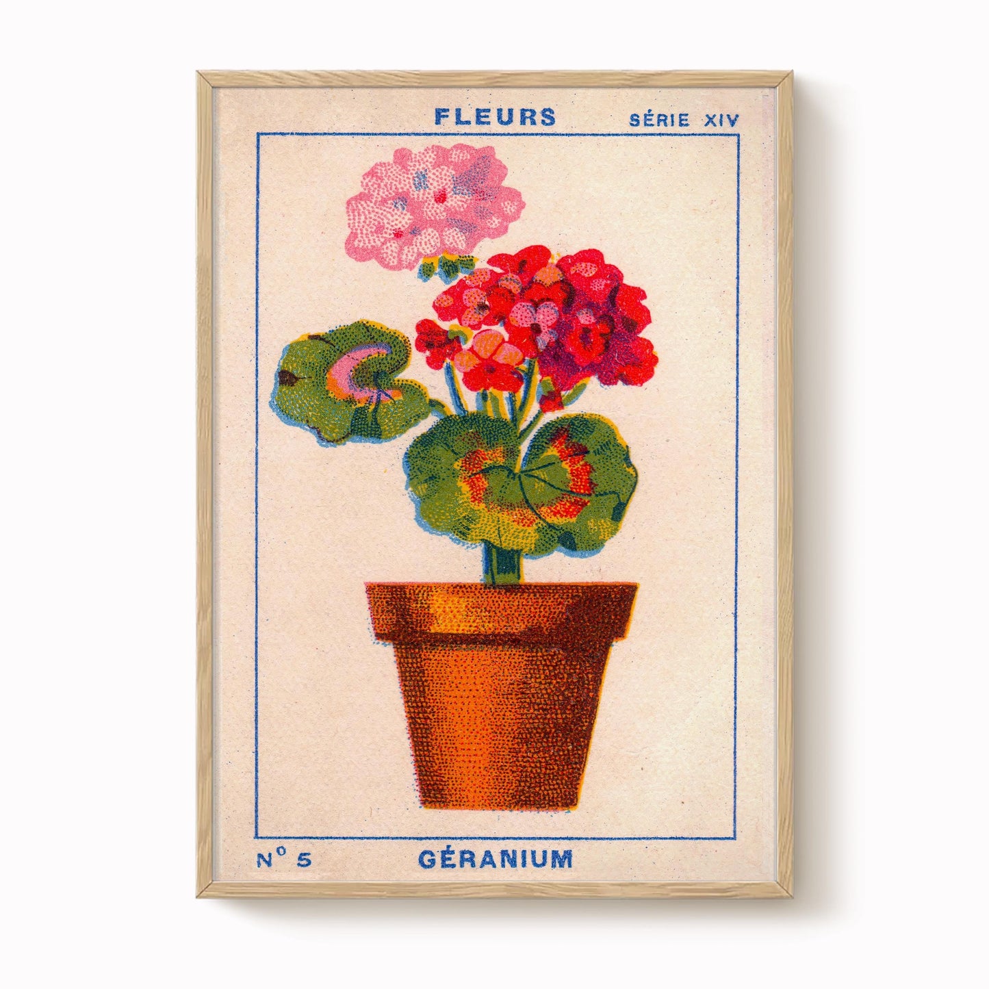 Vintage Geranium Print