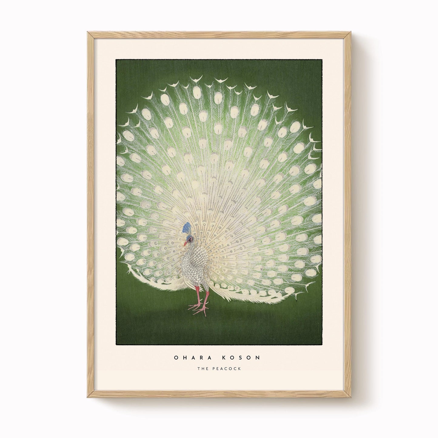 Ohara Koson - The Peacock Print