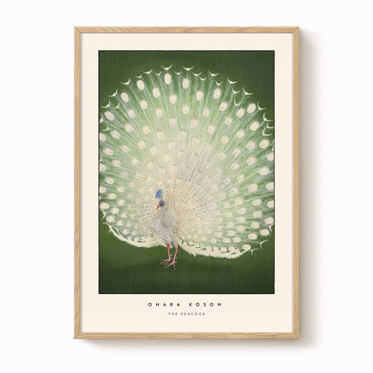 Ohara Koson - The Peacock Print