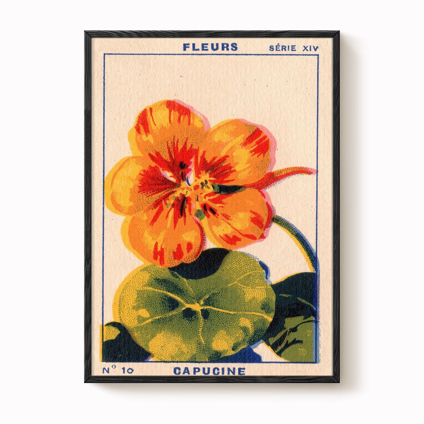 Vintage Nasturtium Print