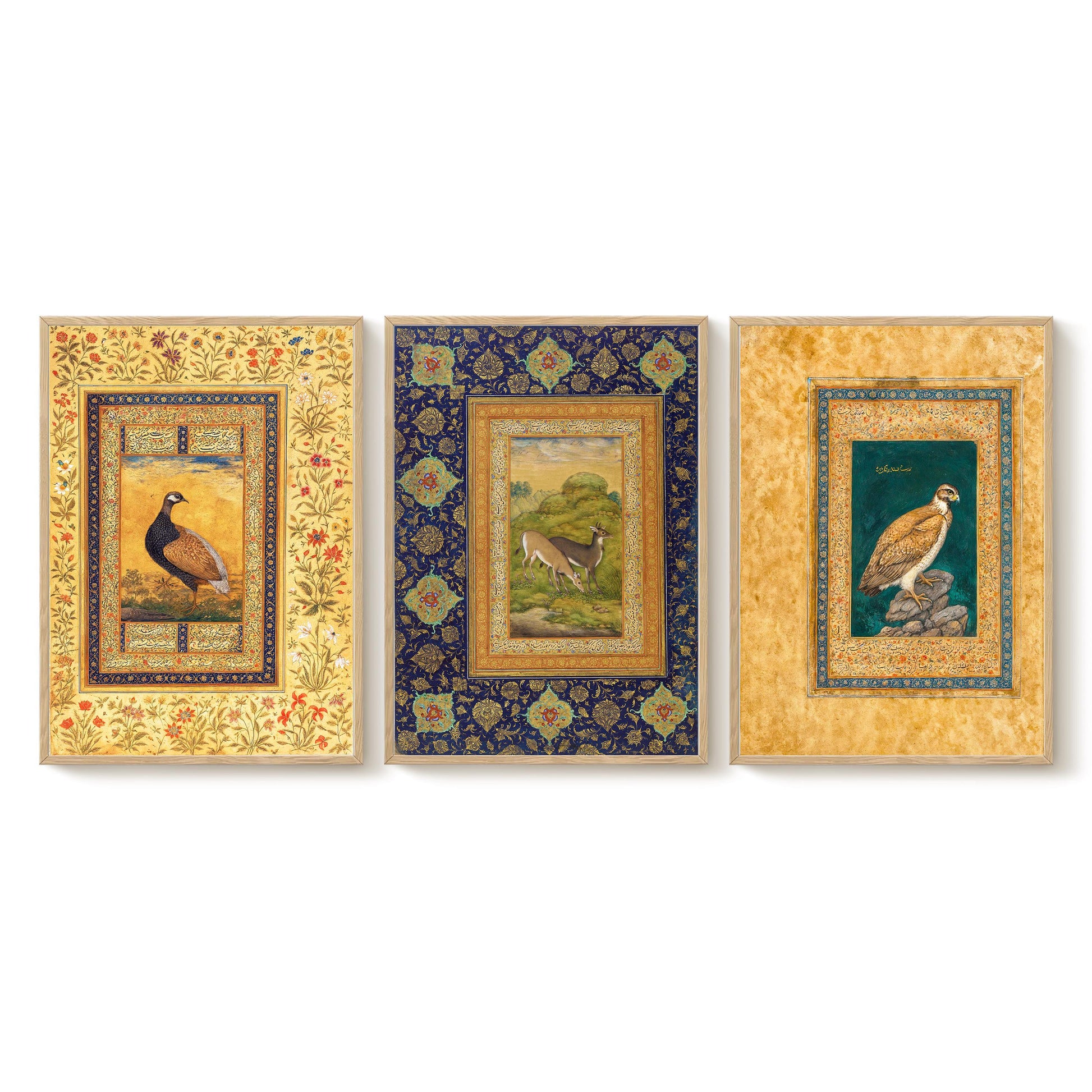 three framed paintings depicting different birds, arranged in a row.