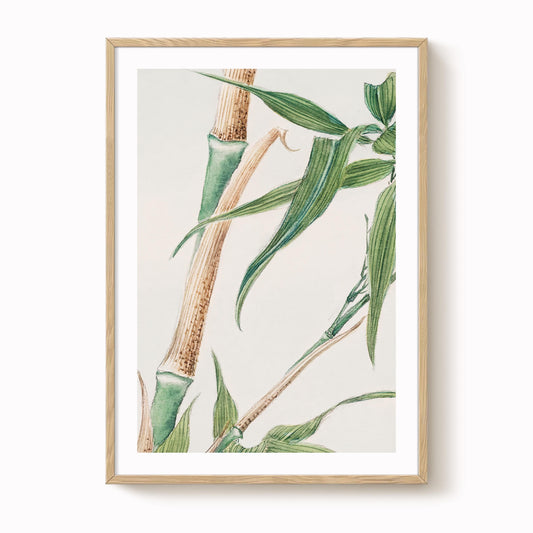 Megata Morikaga - Japanese Bamboo Print