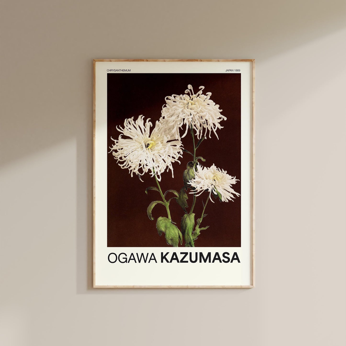 Ogawa Kazumasa - Chrysanthemum Print