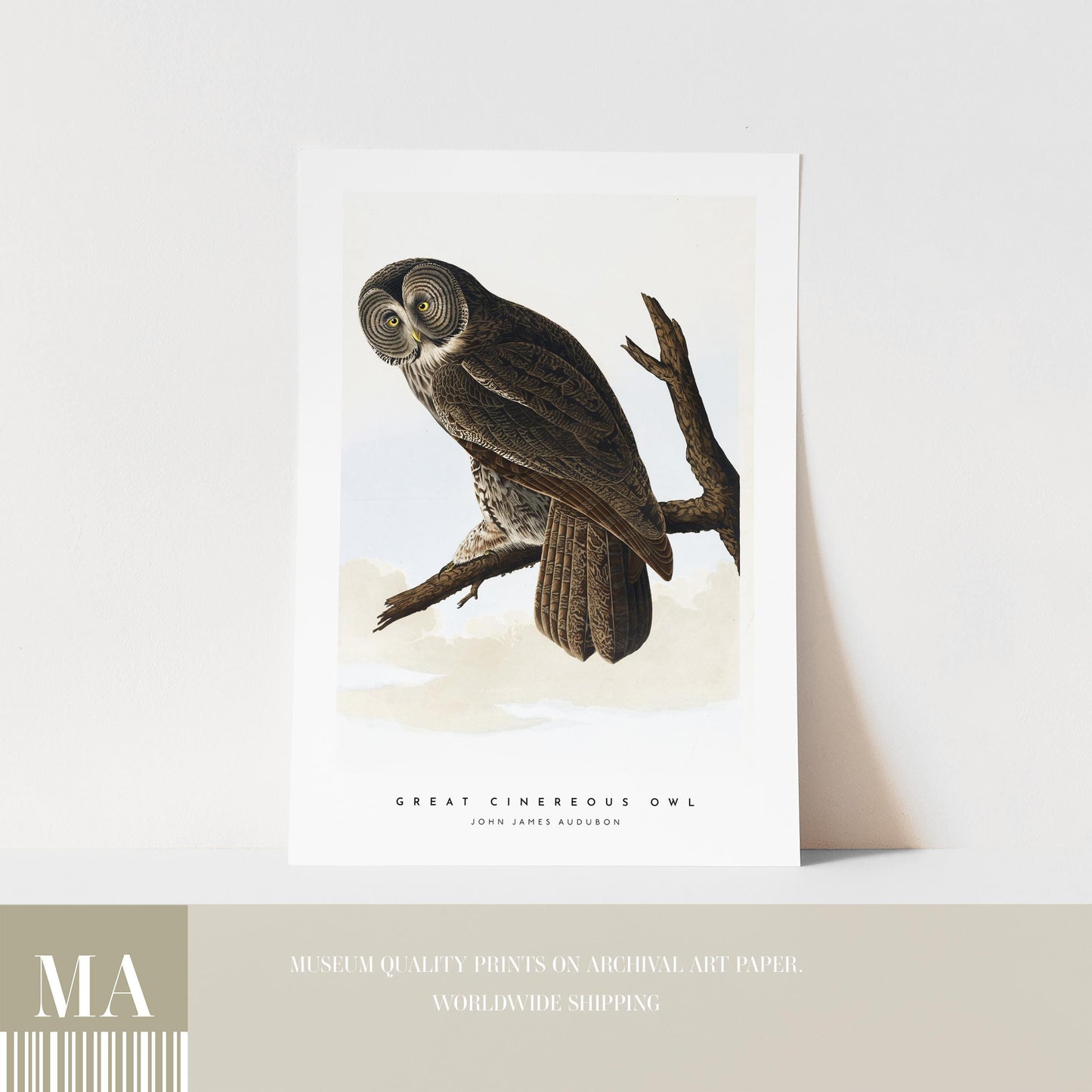 Great Cinereous Owl Print