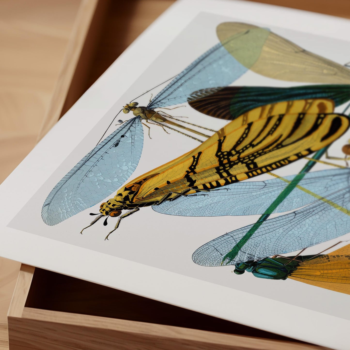 E.A. Séguy - Insectes Pl.20 Insect Study Print