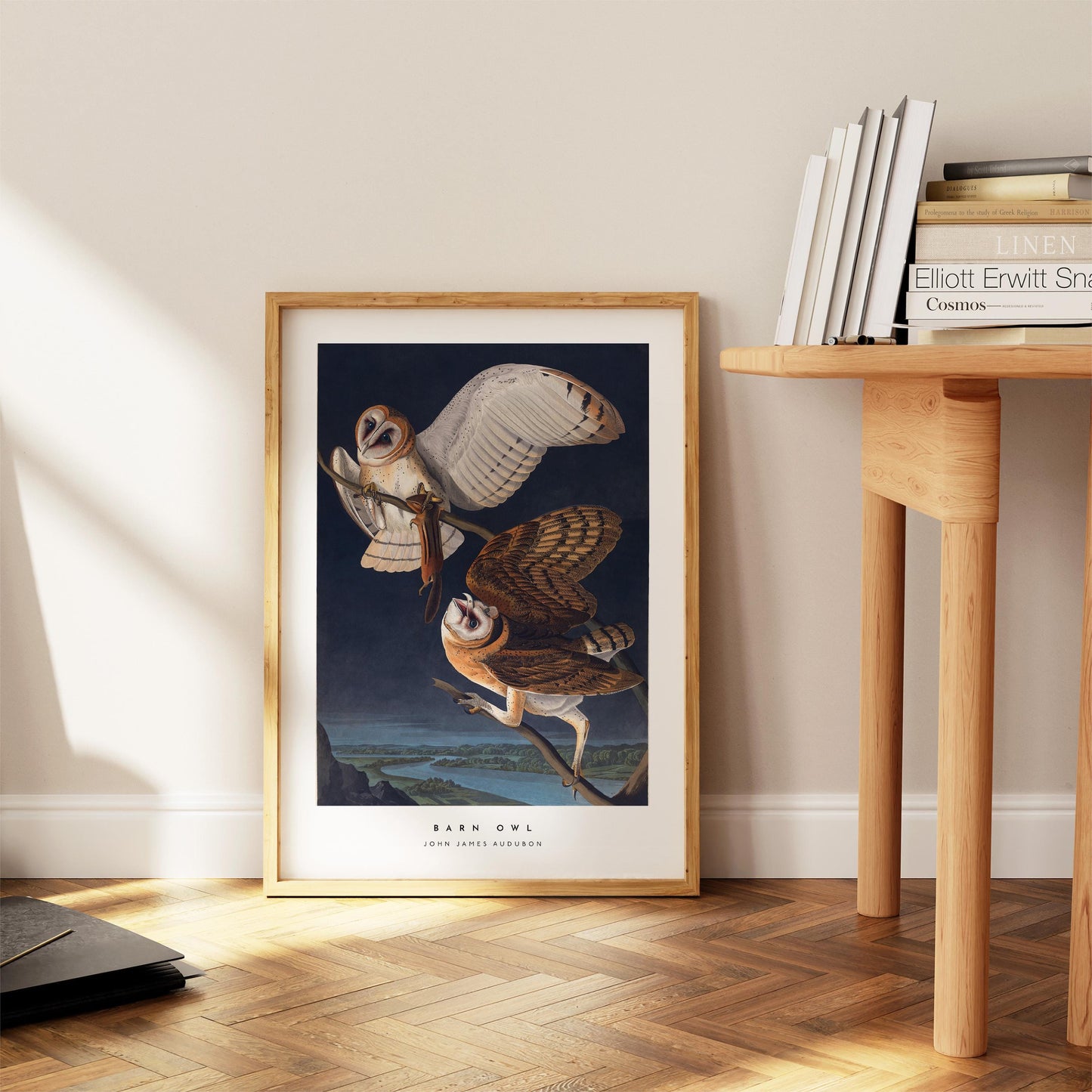 Barn Owl Print