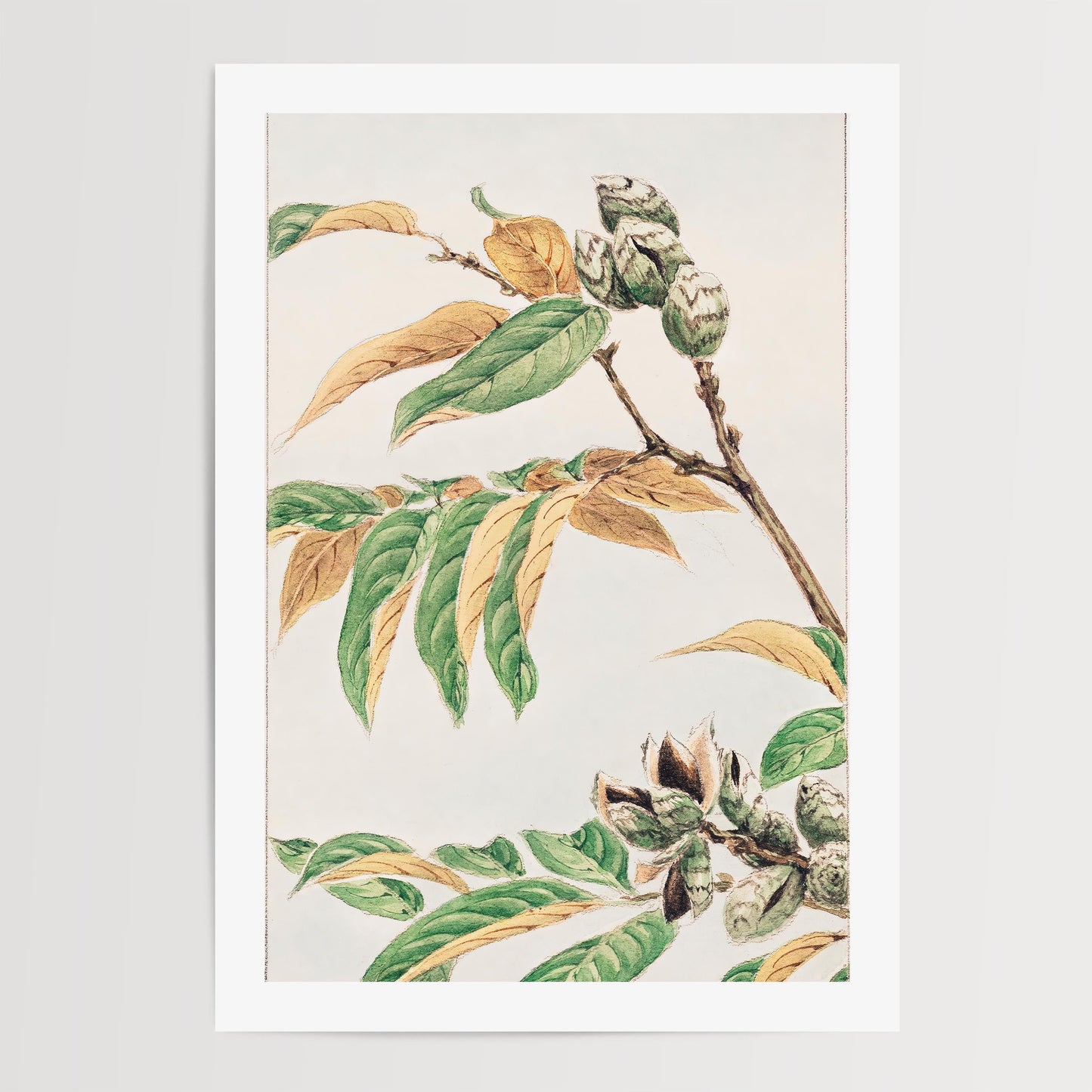 Megata Morikaga - Shi Art Print