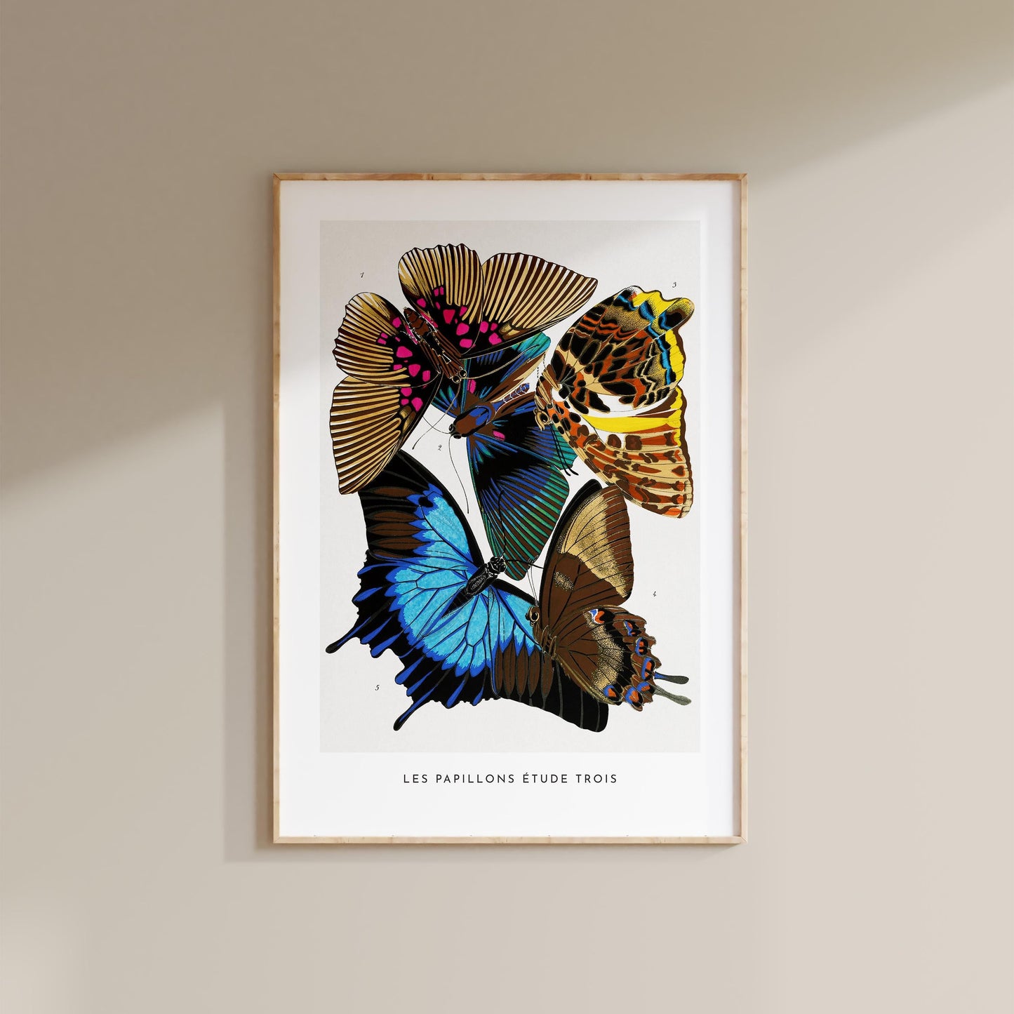 A. Séguy - Vintage Butterfly Print