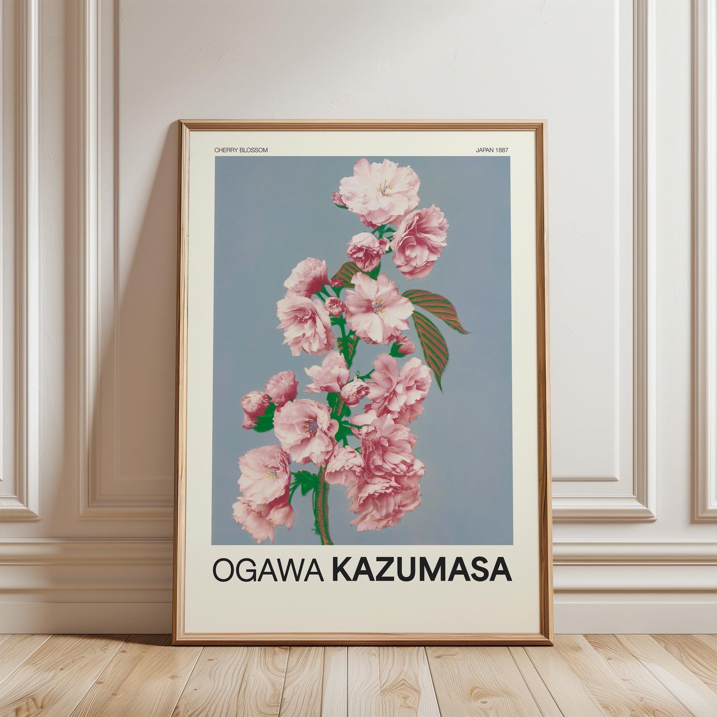 Ogawa Kazumasa - Cherry Blossom Print