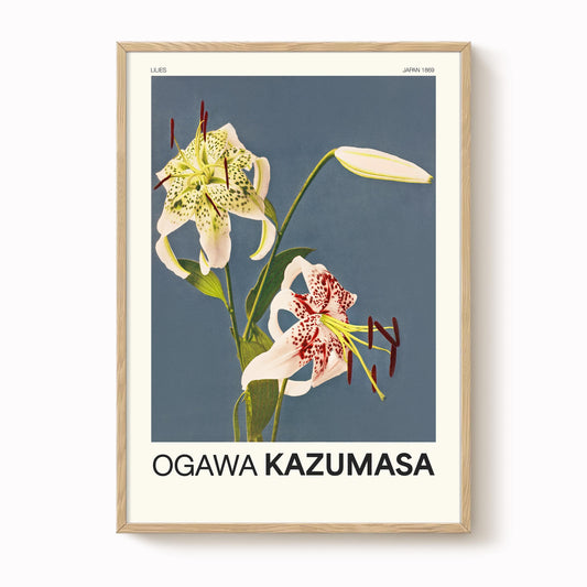 Ogawa Kazumasa - Lilies Print