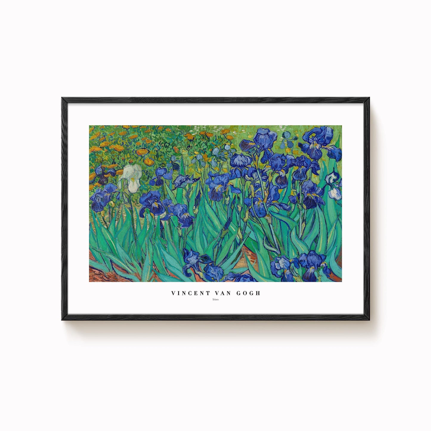 Van Gogh - Irises Print